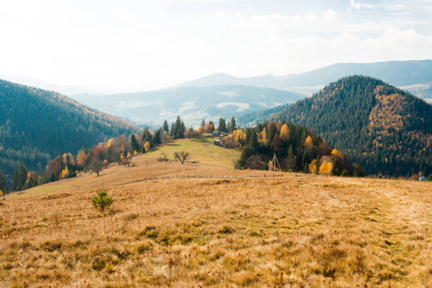istock beautiful autumn landscape in the mountains 1019211578