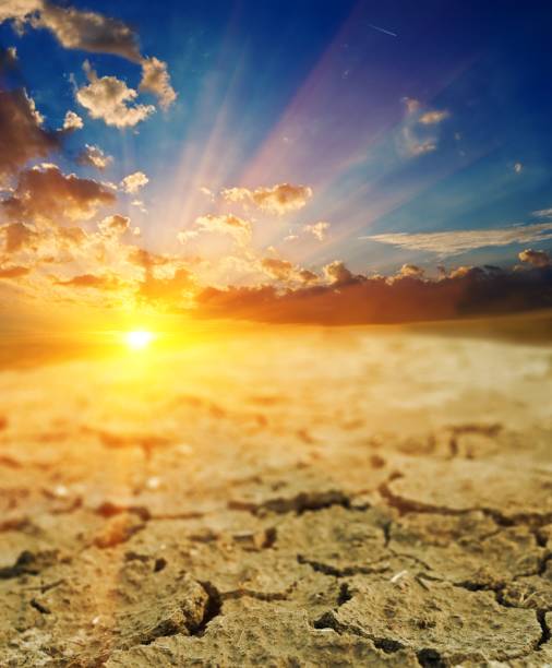 istock cracked earth at the sunset 1019213758