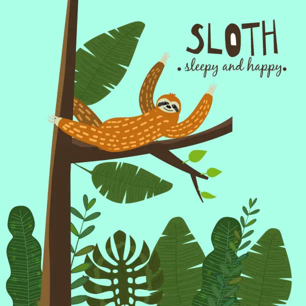 Vector illustration of Cute funny sloth hanging on the tree. Sleepy and happy. Adorable hand drawn cartoon animal illustration. Vector cute sloth for greeting card, invites, poster, banner, t-shirt print, background,isolated
