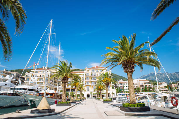 istock resort at sea beach with dock for yachts 1019220836