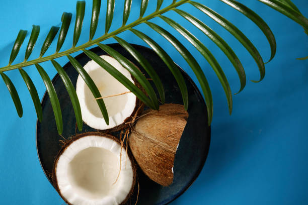 istock Tropical coconut and leaves 1019220958