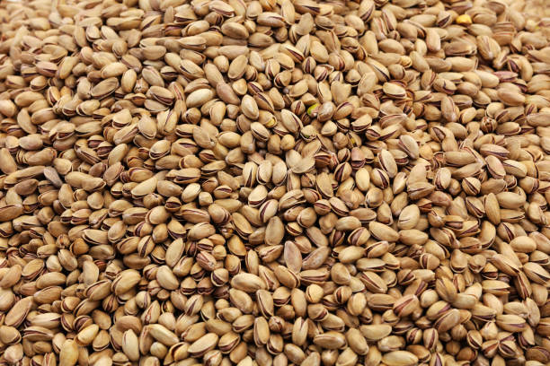 High-resolution close-up image of roasted pistachios in their shells, showing natural texture and warm brown tones.