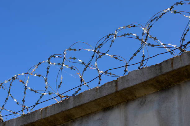 istock Coils of barbed wire with spikes closeup 1019241146
