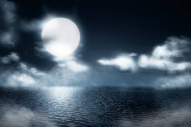 istock Misty lake at night with moonlight background 1019241536