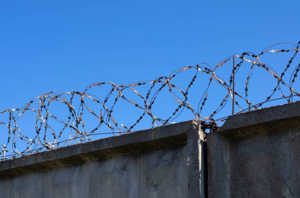 istock Coils of barbed wire with spikes 1019241746