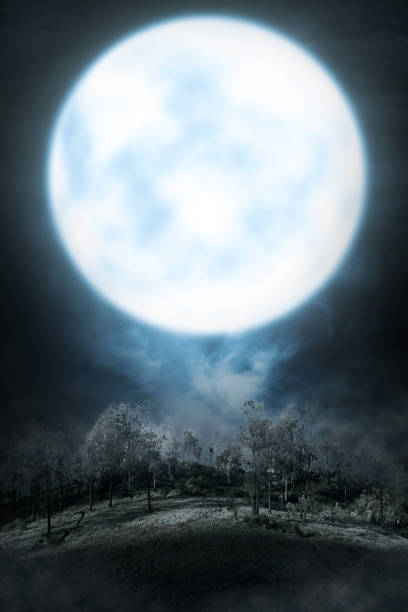 istock Foggy mountain with green forest and full moon 1019244734