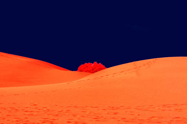 istock Orange Desert Sands on Mars With Dark Blue Sky 1019244744