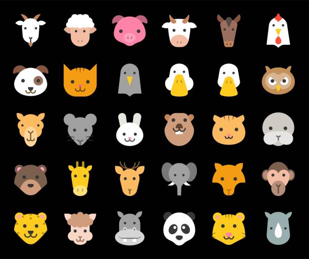 ilustrações de stock, clip art, desenhos animados e ícones de cute animal face included farm, forest and african animals, flat design - wildlife sheep animal body part animal head