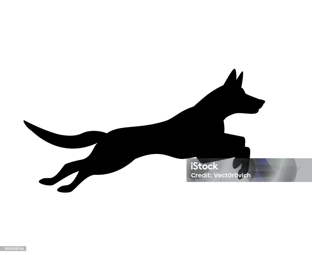 belgian malinois dog jumping running silhouette graphic Dog stock vector