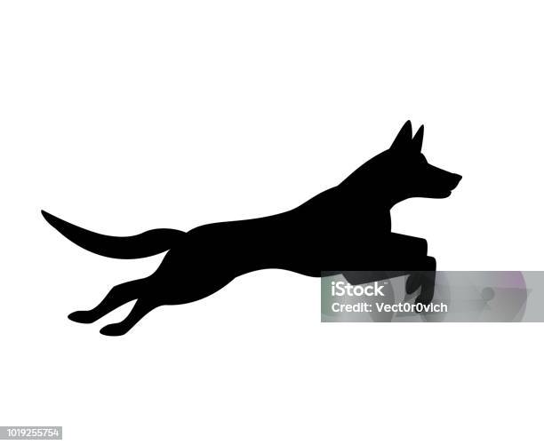Belgian Malinois Dog Jumping Running Silhouette Graphic Stock Illustration - Download Image Now