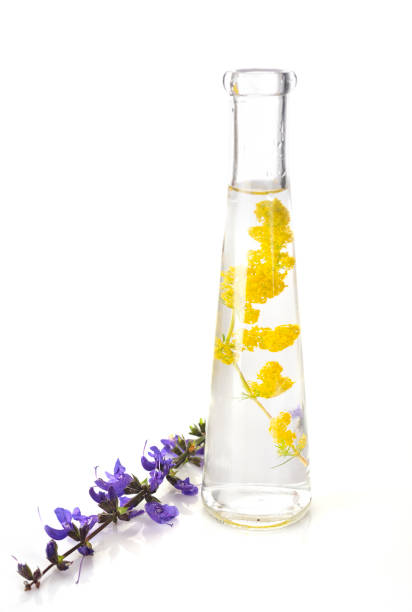 istock plant in test tube 1019258876