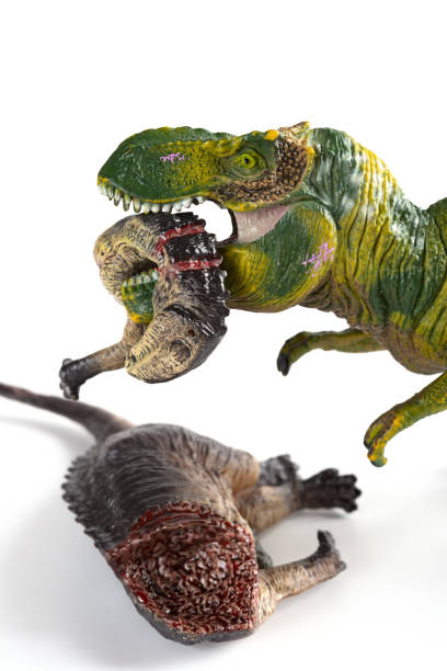 istock tyrannosaurus biting a dinosaur body on white background vertical composition 1019258934