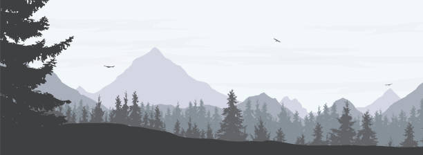 Vector illustration of a snowy winter mountain landscape with coniferous forest, valley and flying birds in a gray sky with clouds - widescreen vector Vector illustration of a snowy winter mountain landscape with coniferous forest, valley and flying birds in a gray sky with clouds - widescreen vector hiking backgrounds stock illustrations