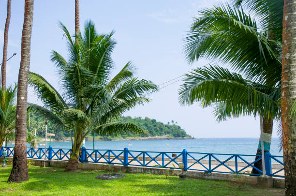istock Beautiful landscape seashore Port Blair India 1019271562