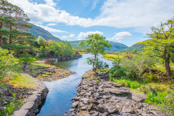 Panorama of shore and surroundings of a lake in a national park in summer Panorama of shore and surroundings of a lake in a national park in summer killarney lake stock pictures, royalty-free photos & images