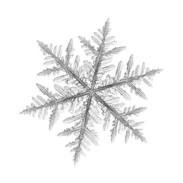 Snowflake isolated on uniform background stock photo
