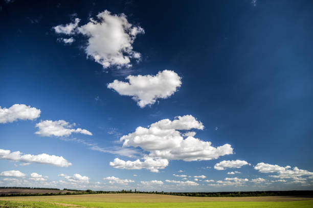 Summer landscape with blue sky and white clouds over the field.