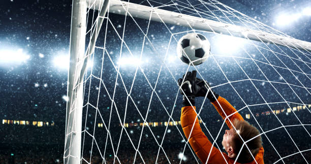 istock Goalkeeper tries to save from a goal on a professional soccer stadium while it's snowing. 1019280400