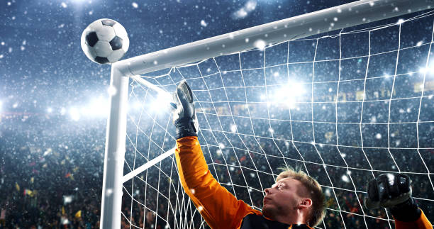 istock Goalkeeper tries to save from a goal on a professional soccer stadium while it's snowing. 1019280422