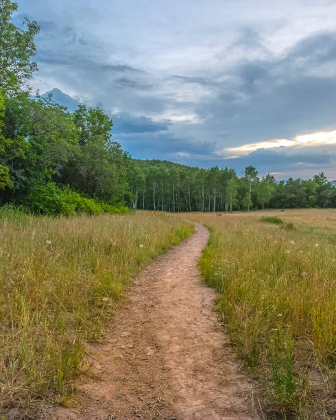 istock Meadow with clouds aand forest in back pano 1019284202