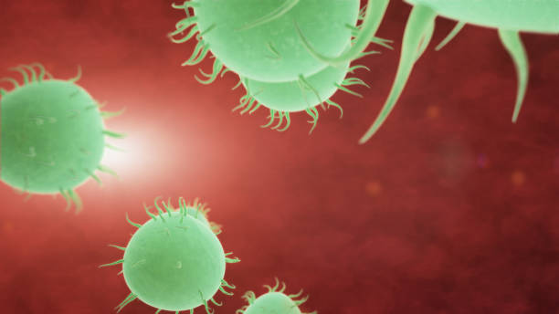 istock Bacteria spread inside the body. Infection And Immunodeficiency Concept 1019306448