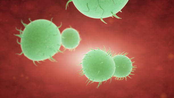 istock Bacteria spread inside the body. Infection And Immunodeficiency Concept 1019306454