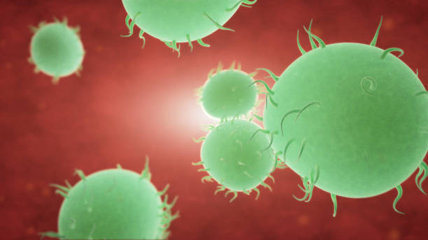 istock Bacteria spread inside the body. Infection And Immunodeficiency Concept 1019306488