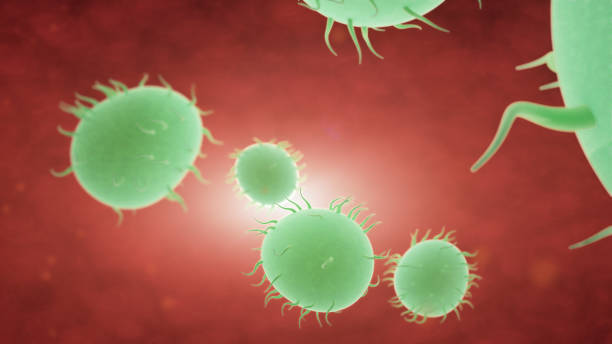istock Bacteria spread inside the body. Infection And Immunodeficiency Concept 1019306490