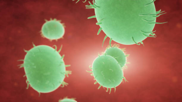 istock Bacteria spread inside the body. Infection And Immunodeficiency Concept 1019306492