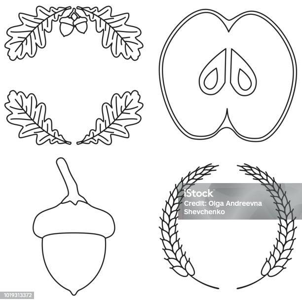 4 Line Art Black And White Harvest Elements Stock Illustration - Download Image Now - Border - Frame, Wreath, Acorn