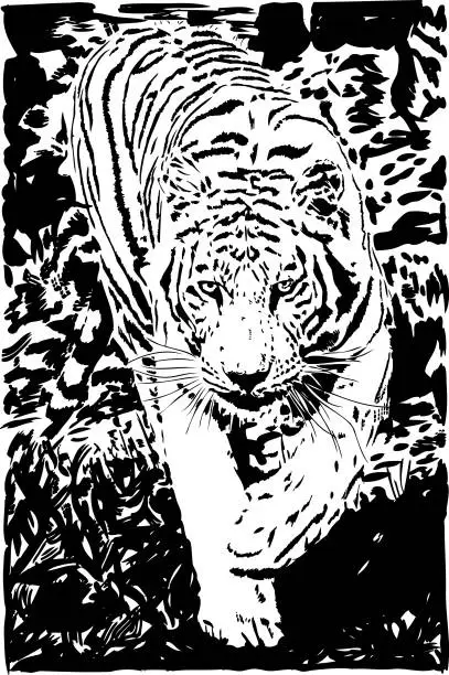 Vector illustration of Tiger portrait in the forest - Black lines only