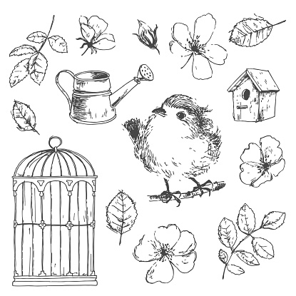 Romantic vector hand drawn collection of birds, flowers, gardening symbols. Robin, watering can, birdhouse, wild roses