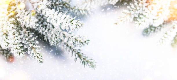 istock Christmas and New Year holidays background 1019329022