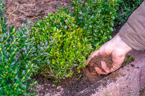 gardening