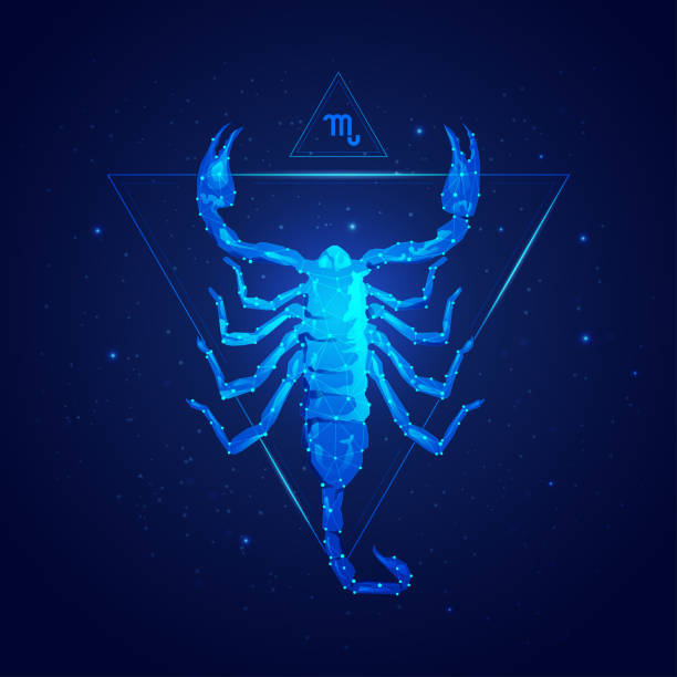 scorpio scorpio horoscope sign in twelve zodiac with galaxy stars background, graphic of wireframe scorpion scorpio stock illustrations