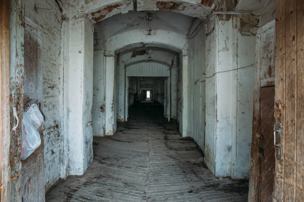 istock Long corridor in old vintage stable building, perspective 1019362910