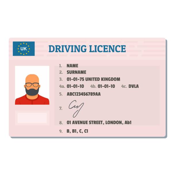 English driving license icon, flat style. English driving license icon. Flat illustration of english driving license vector icon for web. driving licence stock illustrations