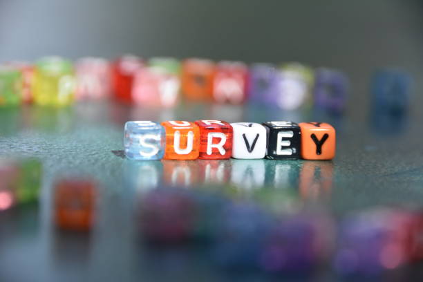 istock Word SURVEY made of letter cubes 1019379724