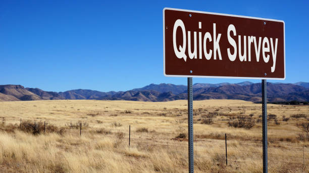 istock Quick Survey road sign with blue sky 1019393416