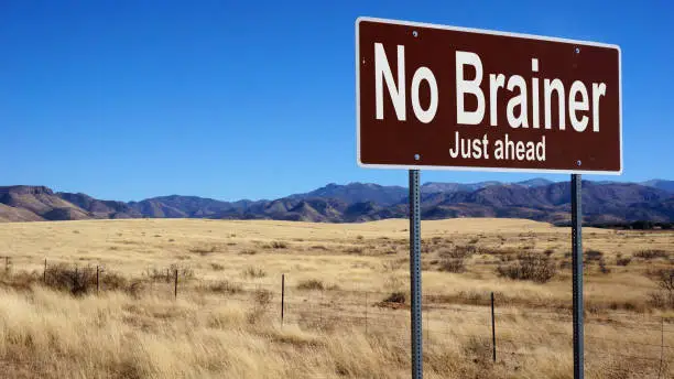 Photo of No Brainer brown road sign with blue sky