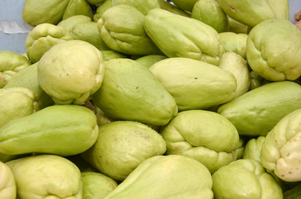 Pile of chayote fruits on local market Pile of chayote fruits on local market Christophine stock pictures, royalty-free photos & images