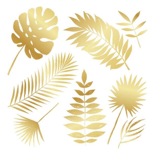 istock Summer golden silhouette tropical palm tree leaves elements. Vector grunge design for cards, web, backgrounds and natural product. 1019399120