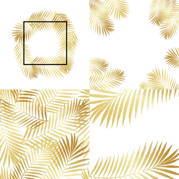 Summer golden tropical palm tree leaves seamless pattern, frames set. Vector grunge design for cards, wallpapers, backgrounds and natural product. Summer golden tropical palm tree leaves seamless pattern, frames set. Vector grunge design for cards, wallpapers, backgrounds and natural product. coconut borders stock illustrations