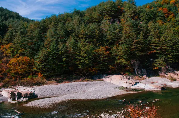 Stream and autumn forest Baekdudaegan Mountain Range Canyon near Seungbu station, Gangwon-do province. South Korea