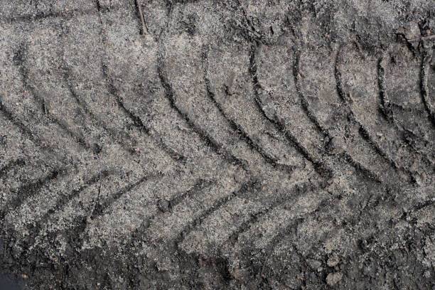 istock tire track on  sandy road macro 1019399840
