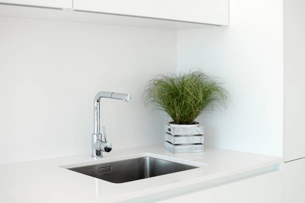istock Modern kitchen sink and faucet with decorative flowers. 1019403506