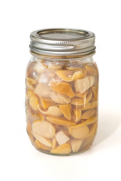 Homemade preserved bar clams in mason bottles.