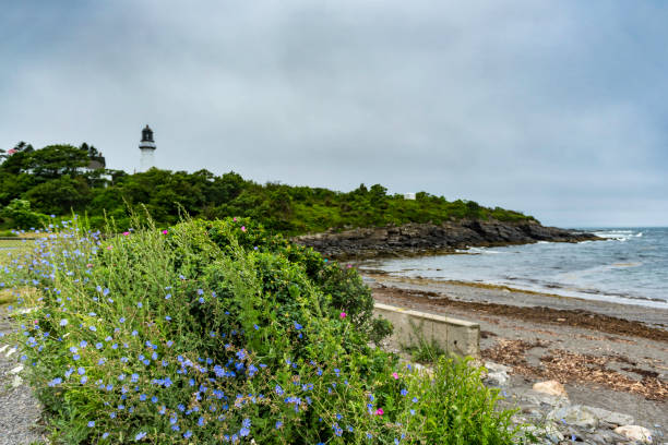 przylądek elizabeth - lighthouse landscape maine sea zdjęcia i obrazy z banku zdjęć