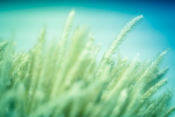 istock Nature background of bright light beautiful soft color blur. 1019407564