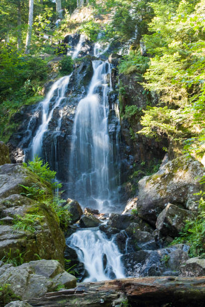 istock Gehard waterfall in Vosges France 1019412698